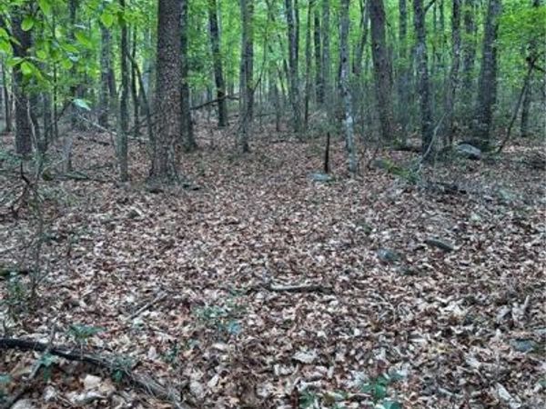 1070 Elm Street , Danbury, NC 27016