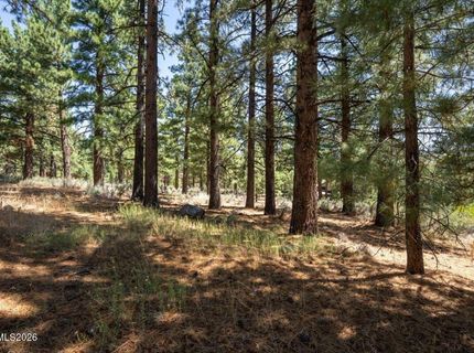 16730 Maggie Circle, Reno, NV 89511 Photo