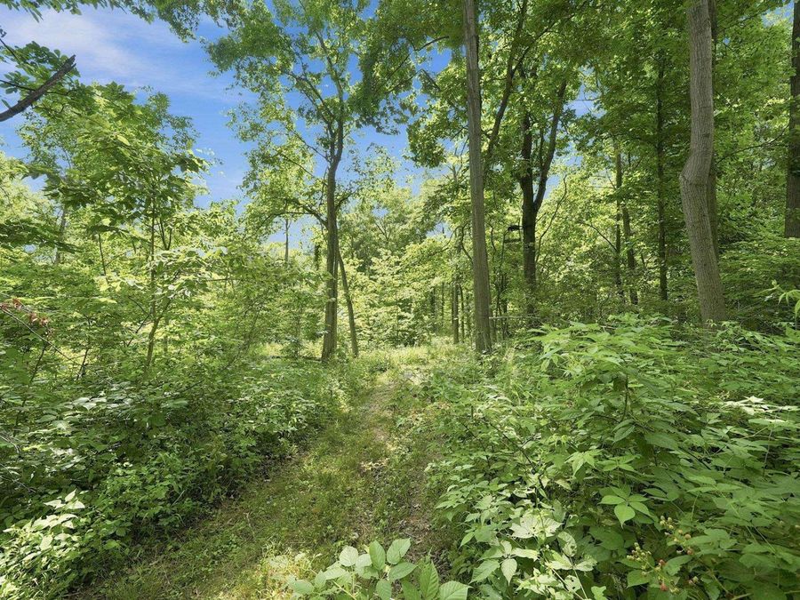 Property Image 33