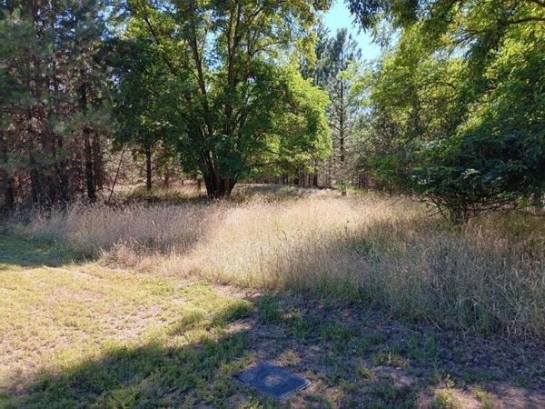 XXX Ponderosa Way, Kettle Falls, WA 99141