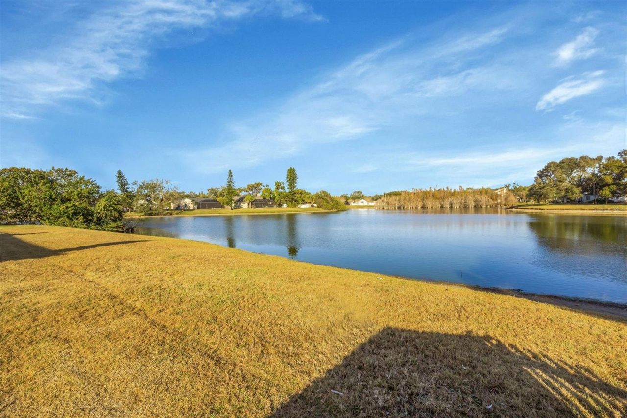 2018 Chelam Way, Brandon, FL 33511 Photo