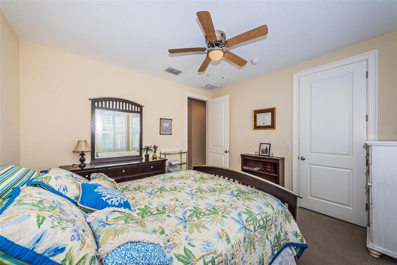 7010 Grevilla Avenue S, South Pasadena, FL 33707 Photo