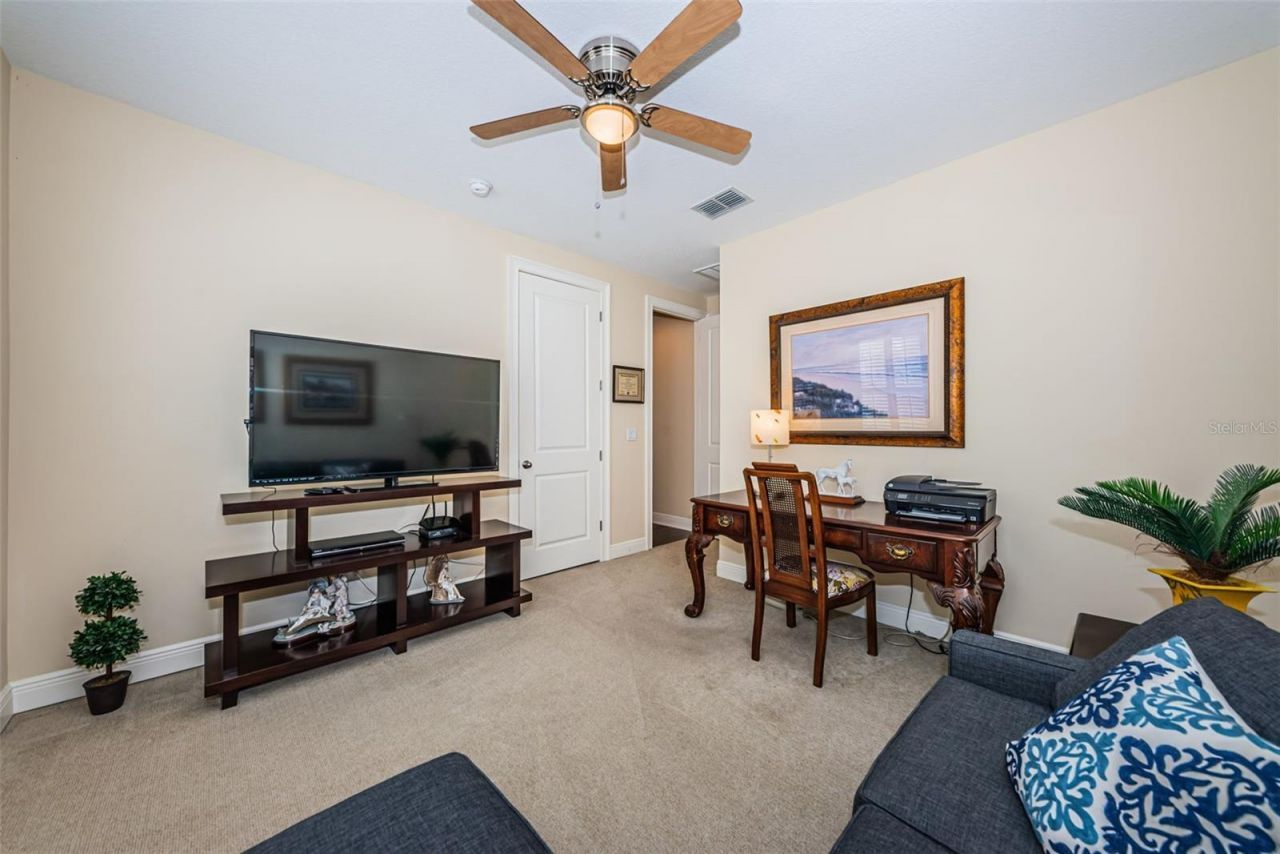 7010 Grevilla Avenue S, South Pasadena, FL 33707 Photo