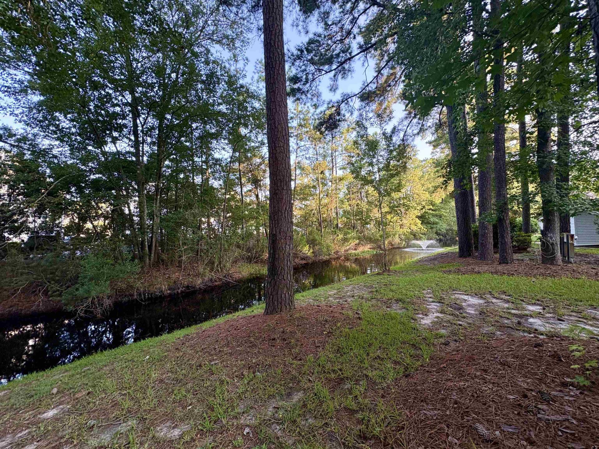 3095 Palmetto Dr. Photo 16