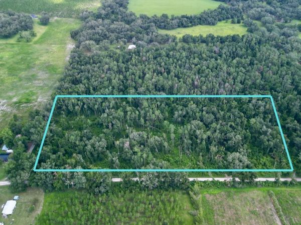 NE Sage Rd, Mayo, FL 32066