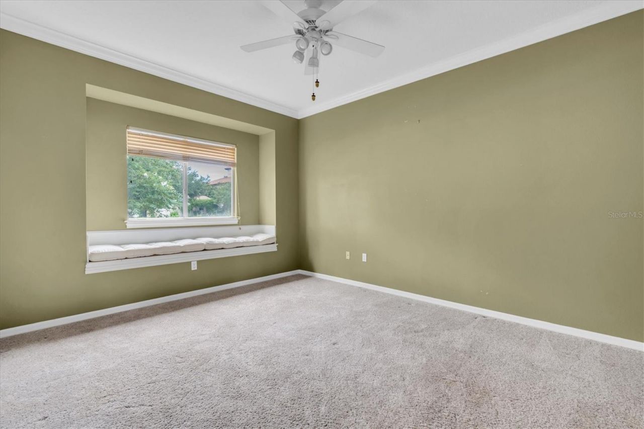 4270 Cove Drive, Palm Harbor, FL 34685 Photo