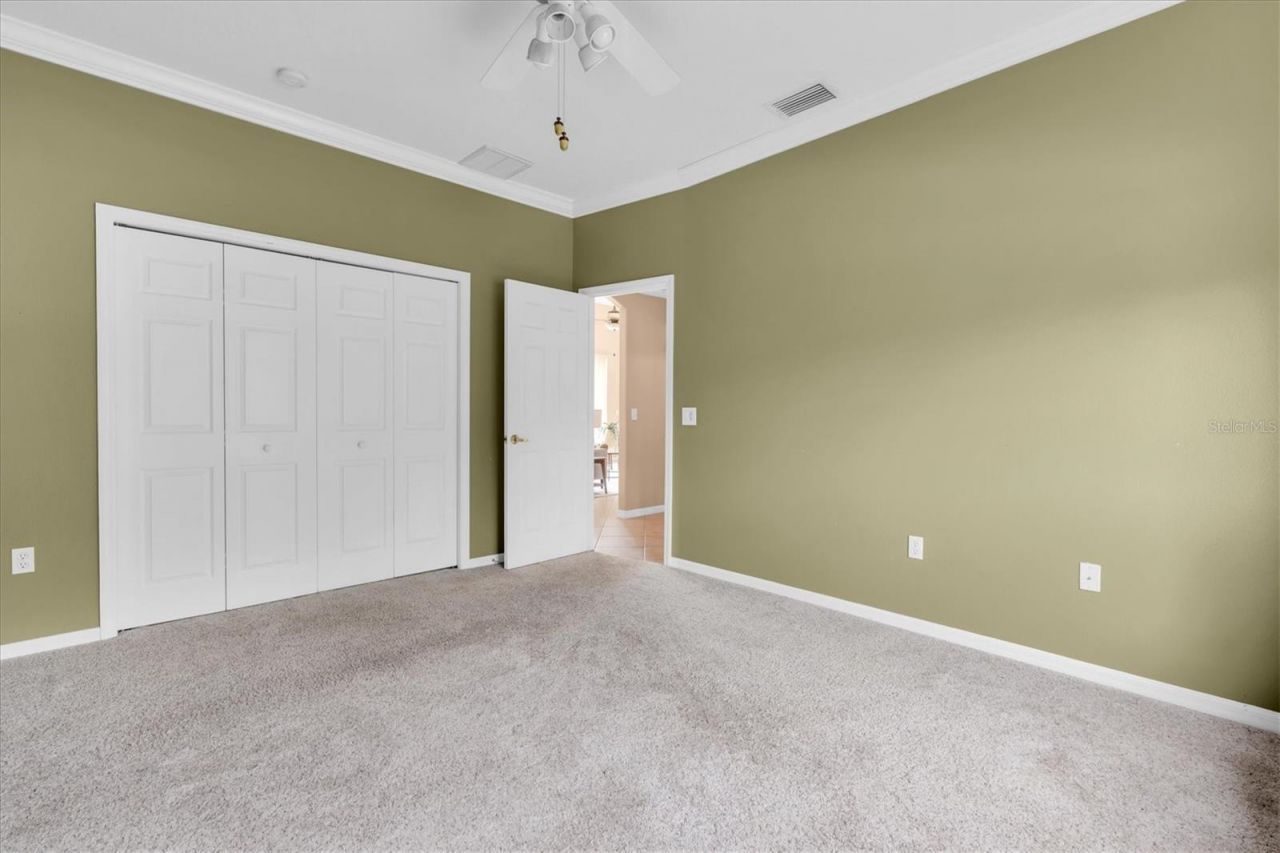 4270 Cove Drive, Palm Harbor, FL 34685 Photo