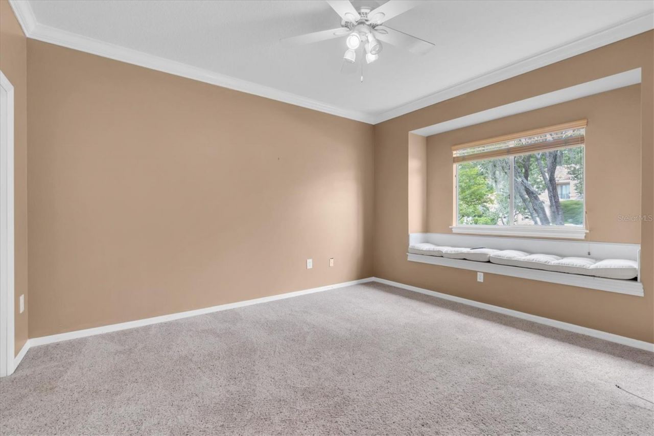 4270 Cove Drive, Palm Harbor, FL 34685 Photo