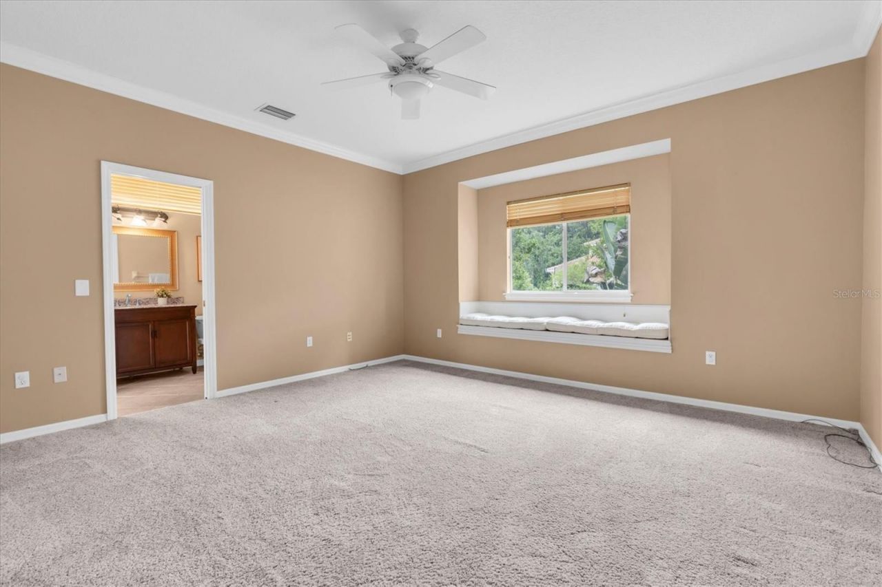 4270 Cove Drive, Palm Harbor, FL 34685 Photo