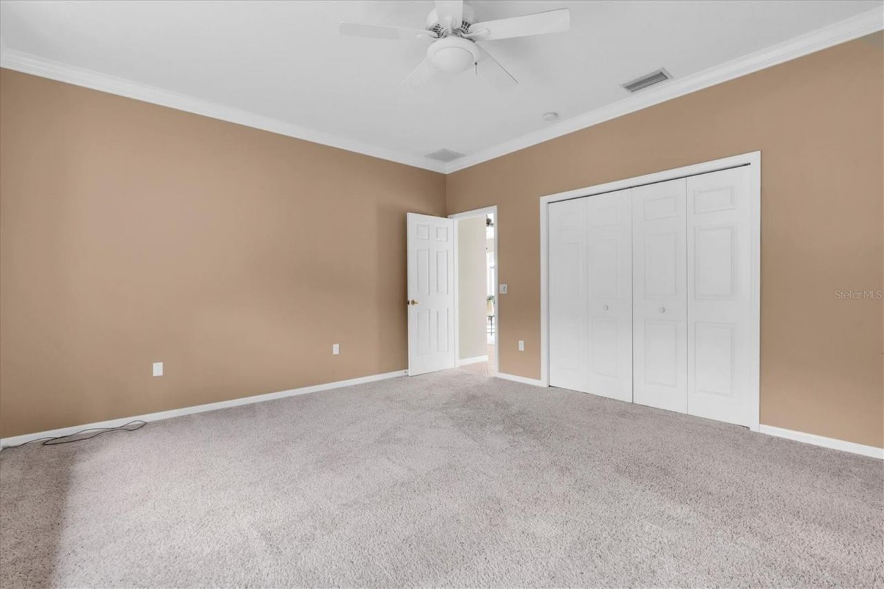 4270 Cove Drive, Palm Harbor, FL 34685 Photo