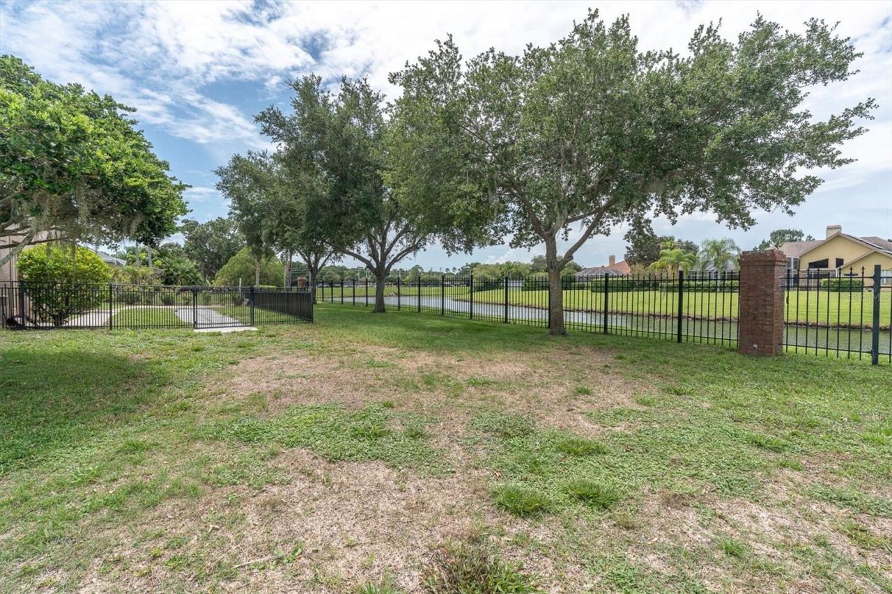 4270 Cove Drive, Palm Harbor, FL 34685 Photo
