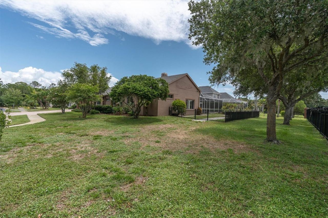 4270 Cove Drive, Palm Harbor, FL 34685 Photo