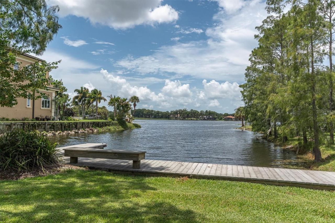 4270 Cove Drive, Palm Harbor, FL 34685 Photo