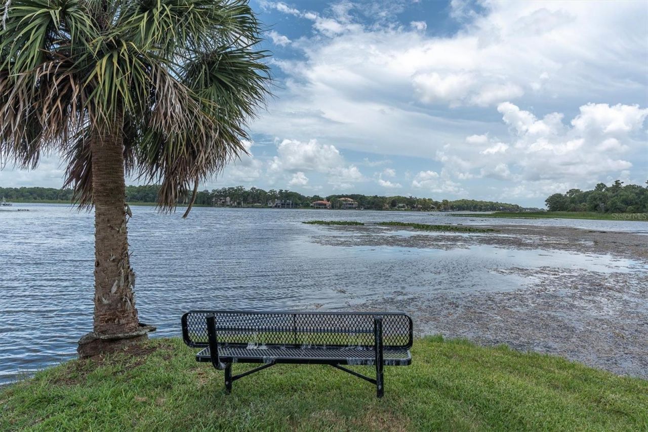 4270 Cove Drive, Palm Harbor, FL 34685 Photo