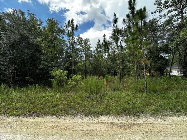 TBD NE 15TH LANE , WILLISTON, FL 32696