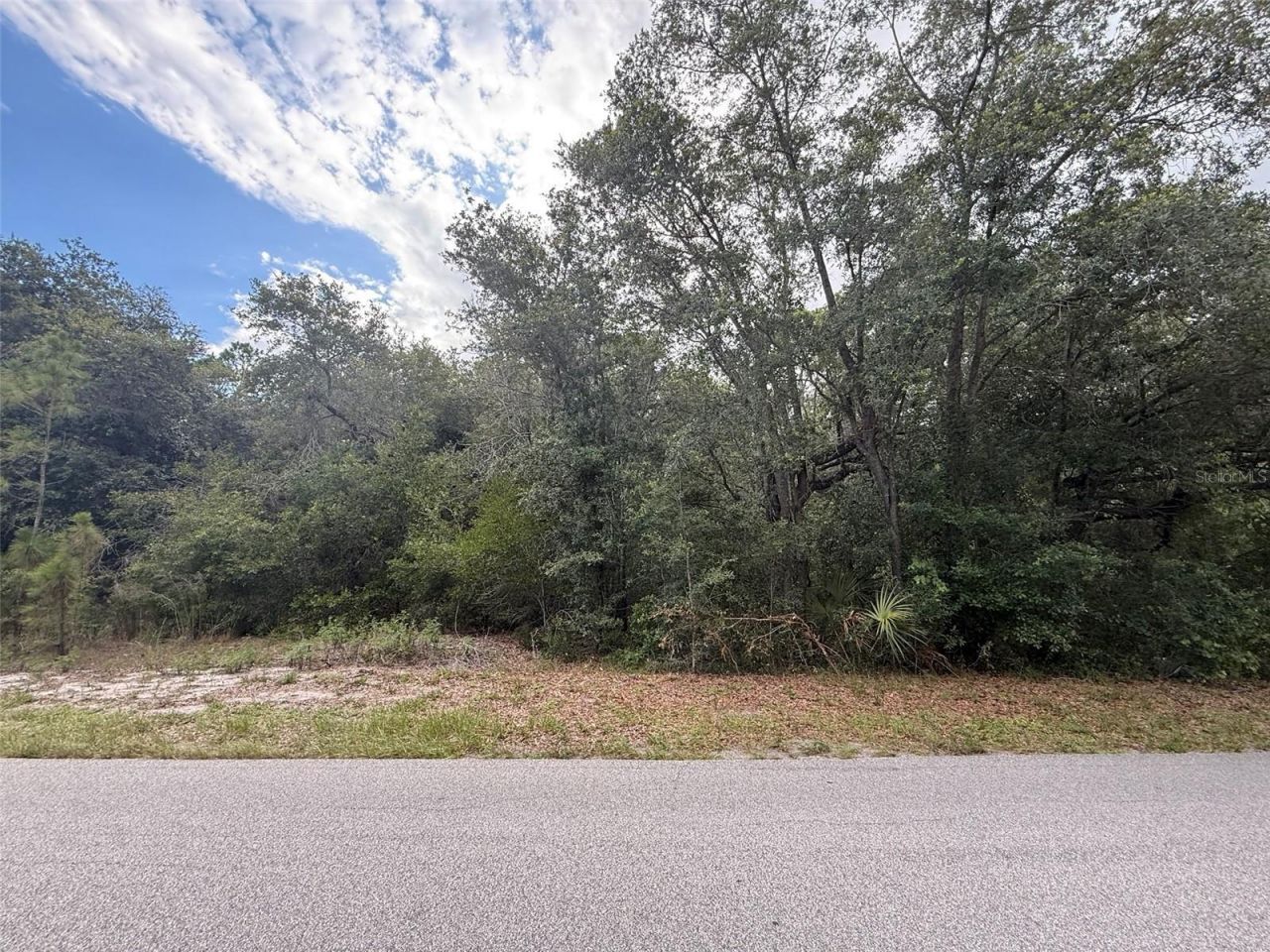 1012 Wildflower Street, Lake Placid, FL 33852 Photo