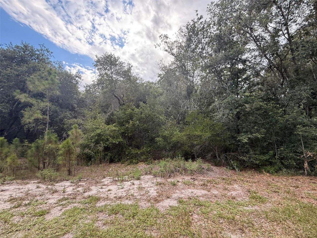 1012 Wildflower Street, Lake Placid, FL 33852 Photo