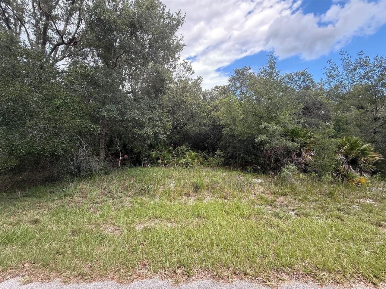 1012 Wildflower Street, Lake Placid, FL 33852 Photo