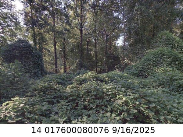 00 Newman Place NW, Atlanta, GA 30318