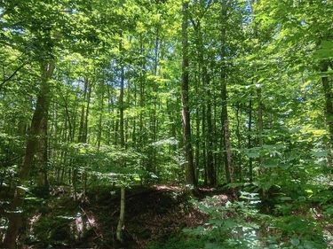 357 Norton Road, Schenevus, NY 12155