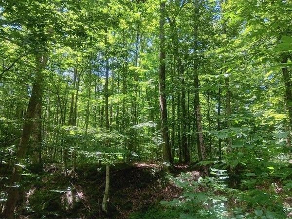 357 Norton Road, Schenevus, NY 12155