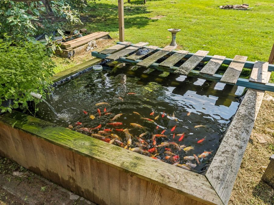 Property Image 52