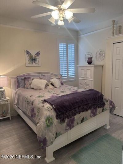 17812 Souter Lane, Land O'lakes, FL 34638 Photo
