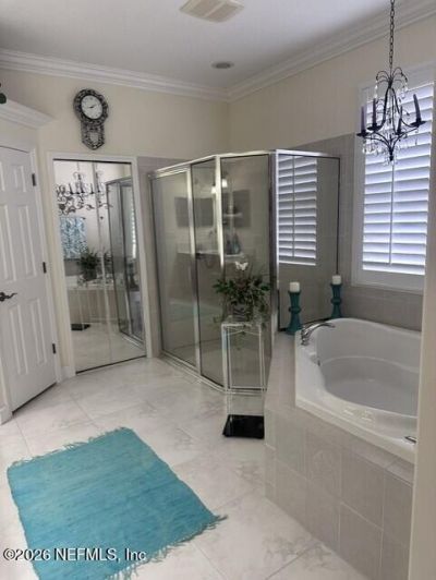 17812 Souter Lane, Land O'lakes, FL 34638 Photo
