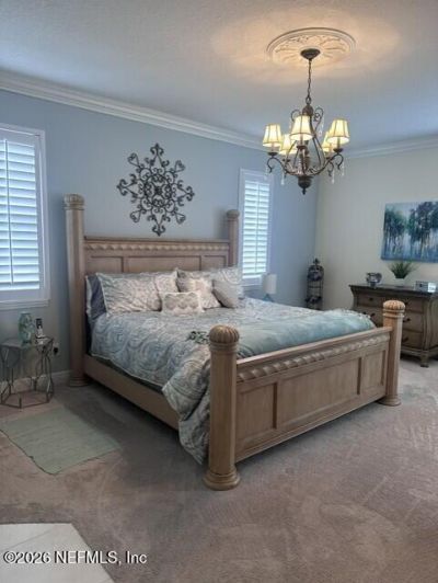 17812 Souter Lane, Land O'lakes, FL 34638 Photo