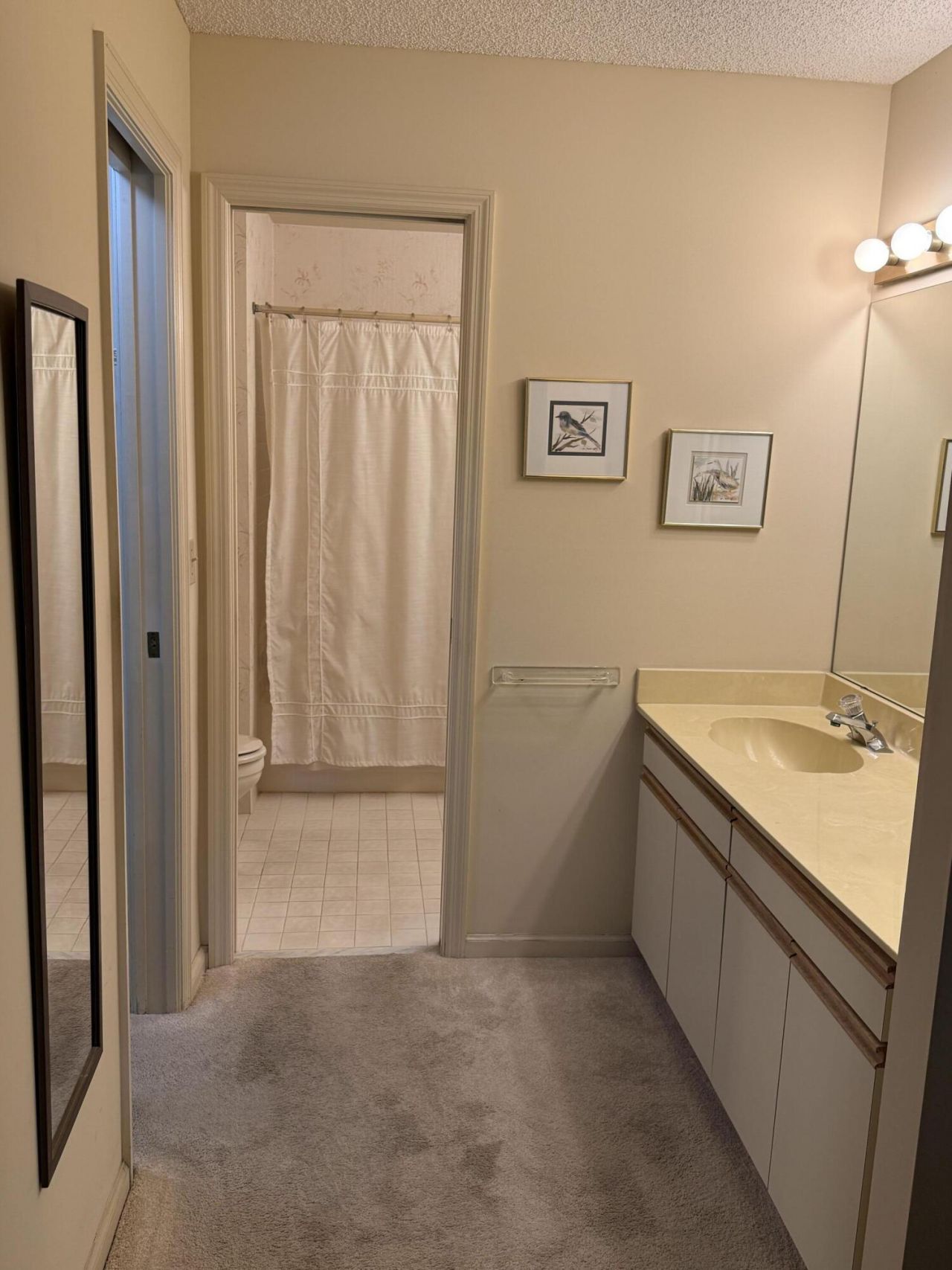 10107 Mangrove Drive, Boynton Beach, FL 33437 Photo