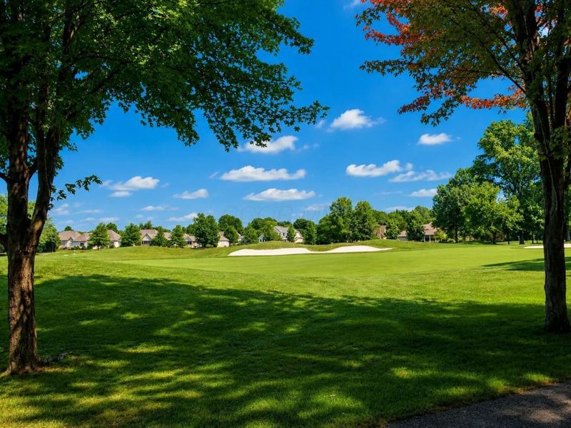 1323 Crystal Tree Court, Blacklick, OH 43004 Photo 77