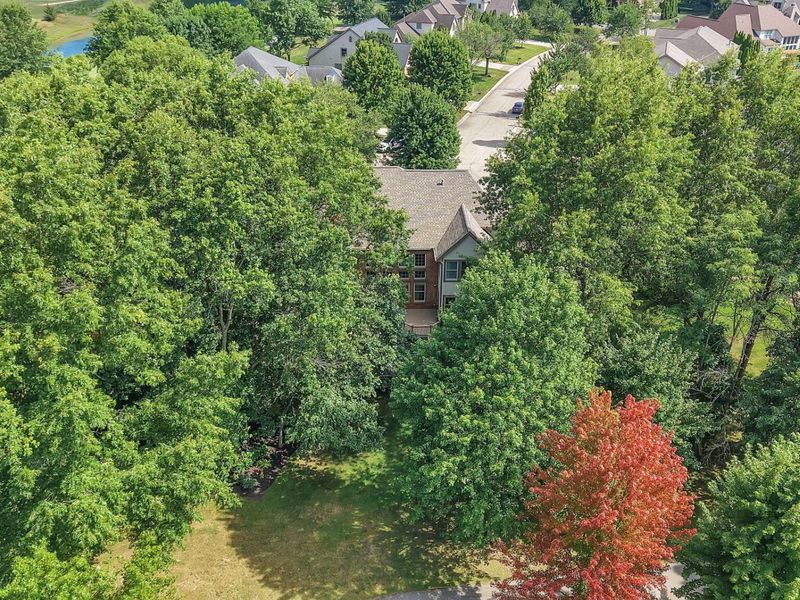 1323 Crystal Tree Court, Blacklick, OH 43004 Photo 94