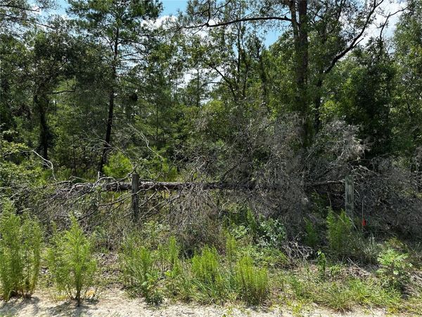 6270 NE 139TH AVENUE, WILLISTON, FL 32696