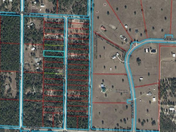 6270 NE 139TH AVENUE , WILLISTON, FL 32696