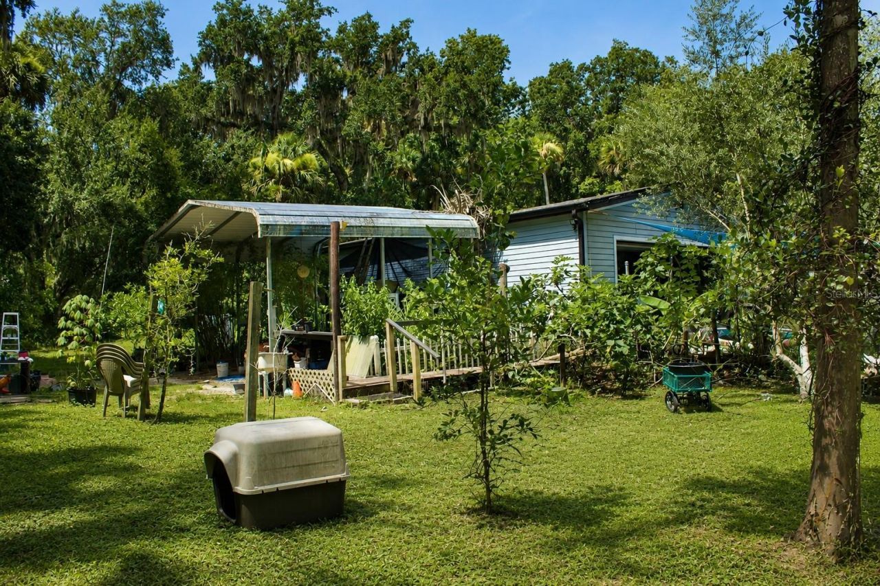 335 Stacy Grove Rd , Road, Oak Hill, FL 32759 Photo