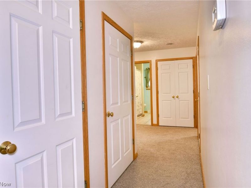 750 Blueberry Hill Drive, Canfield, OH 44406 Photo 23