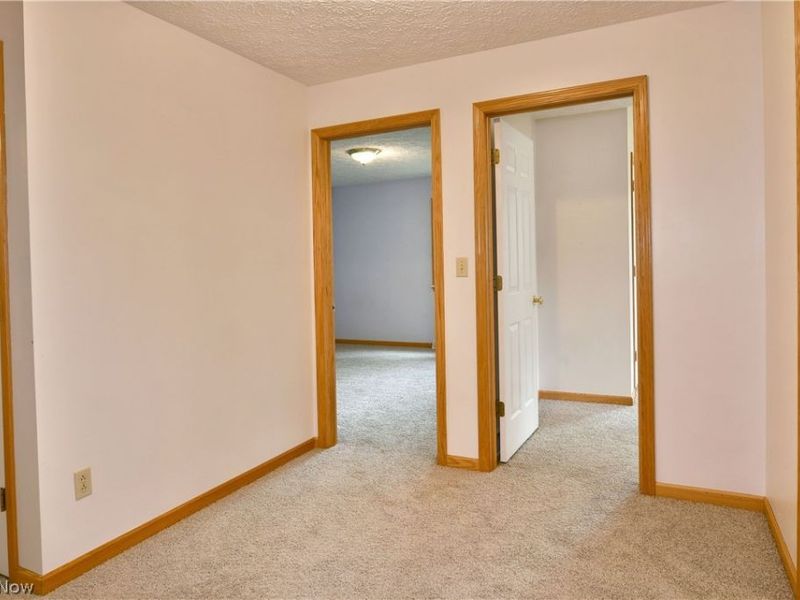 750 Blueberry Hill Drive, Canfield, OH 44406 Photo 25