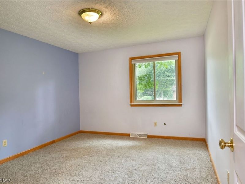 750 Blueberry Hill Drive, Canfield, OH 44406 Photo 26