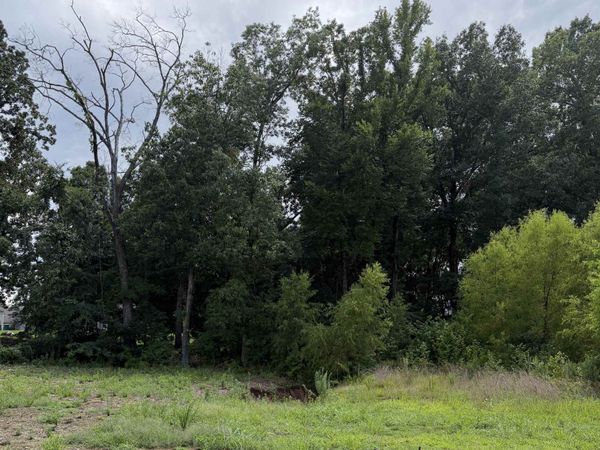 105 MISTY MEADOW LN, Oakland, TN 38060