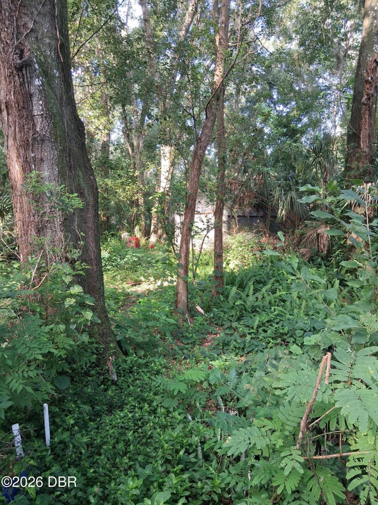 481 Shell Harbor Road, Pierson, FL 32180 Photo