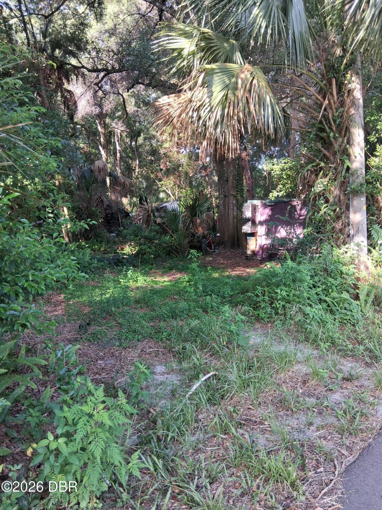 481 Shell Harbor Road, Pierson, FL 32180 Photo