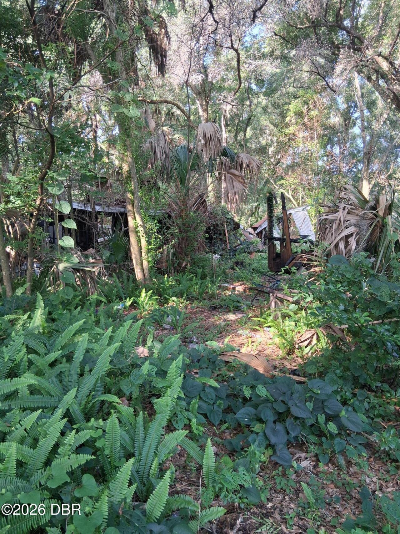 481 Shell Harbor Road, Pierson, FL 32180 Photo
