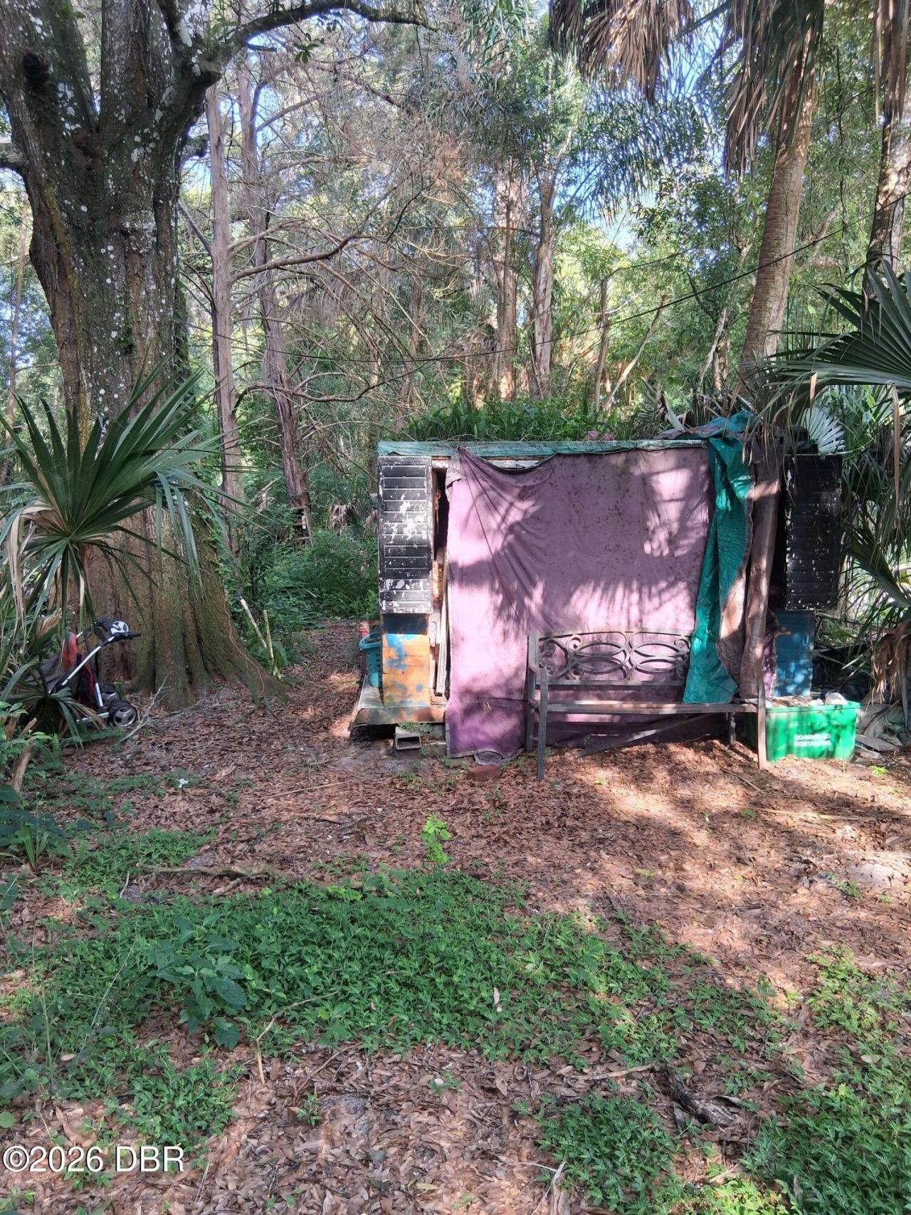 481 Shell Harbor Road, Pierson, FL 32180 Photo