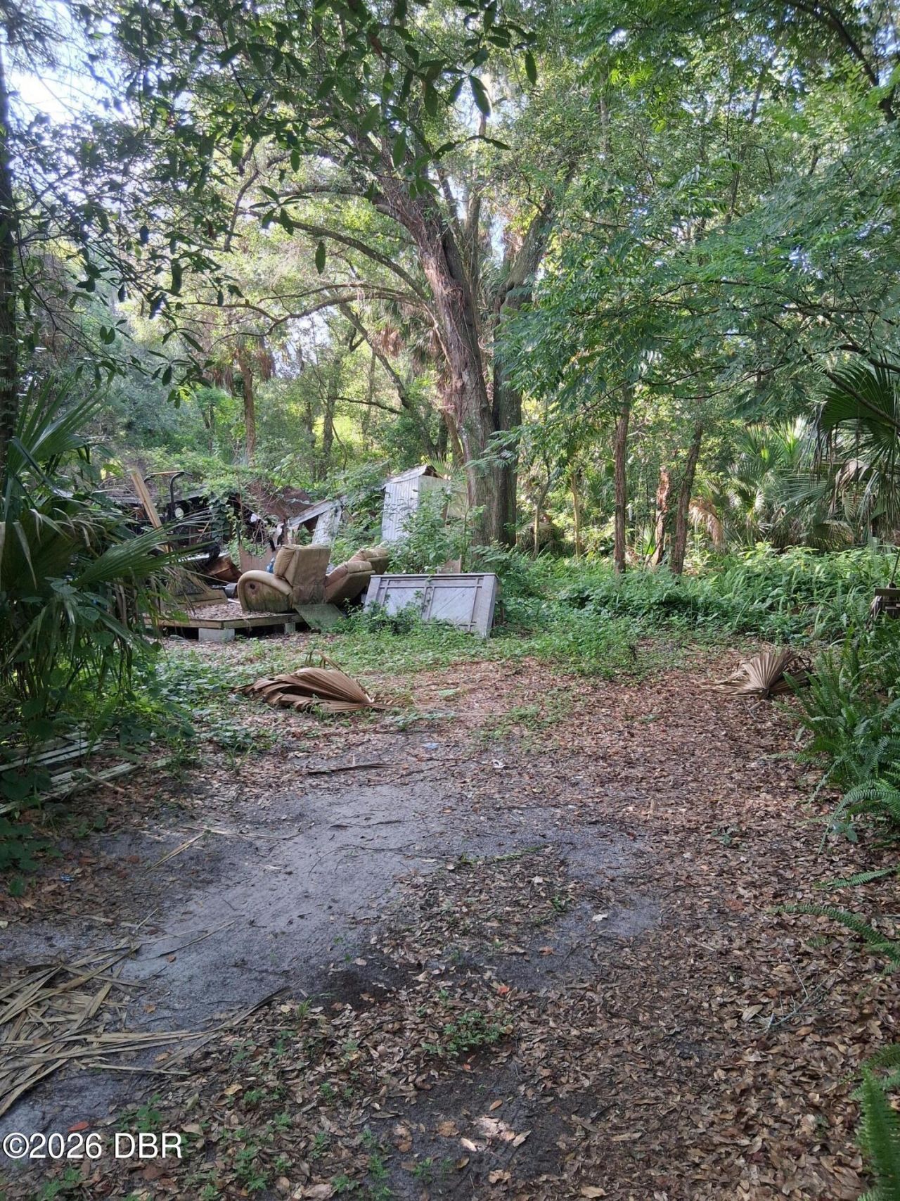 481 Shell Harbor Road, Pierson, FL 32180 Photo