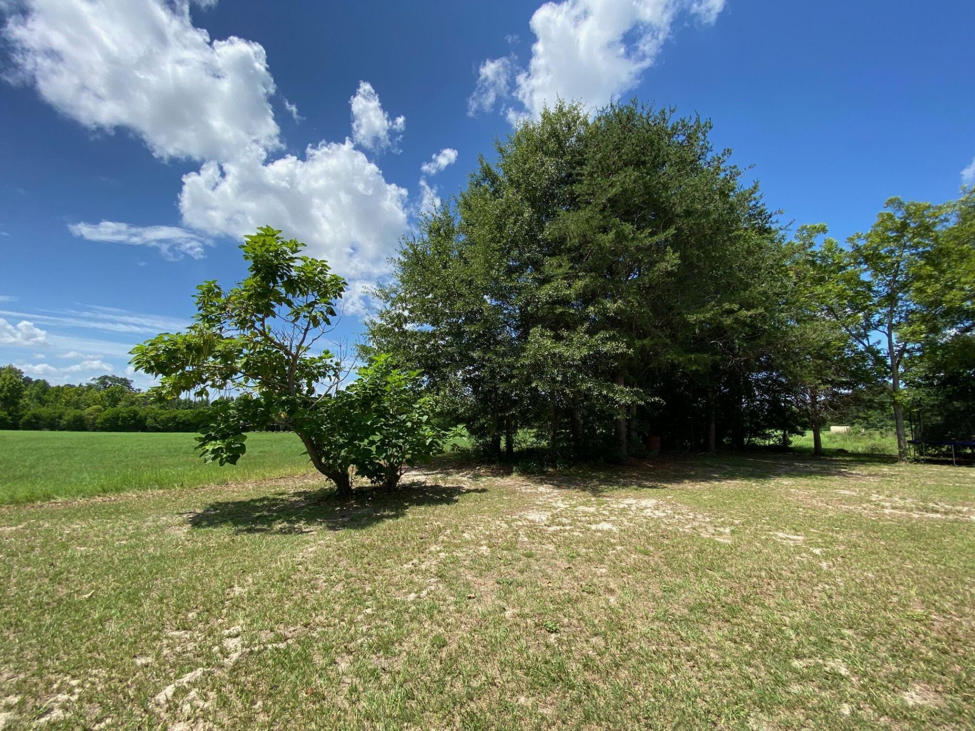 4606 Ninety 6 Road Photo 9