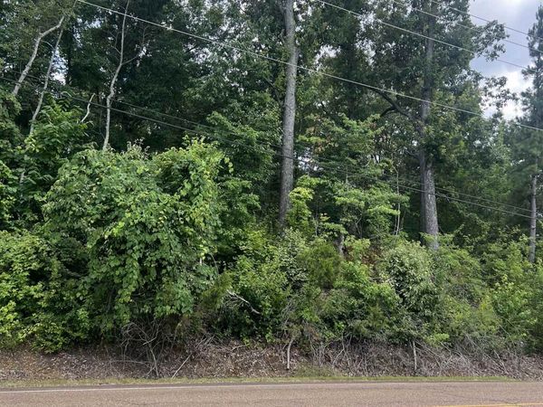 8207 OLD BROWNSVILLE RD, Bartlett, TN 38002