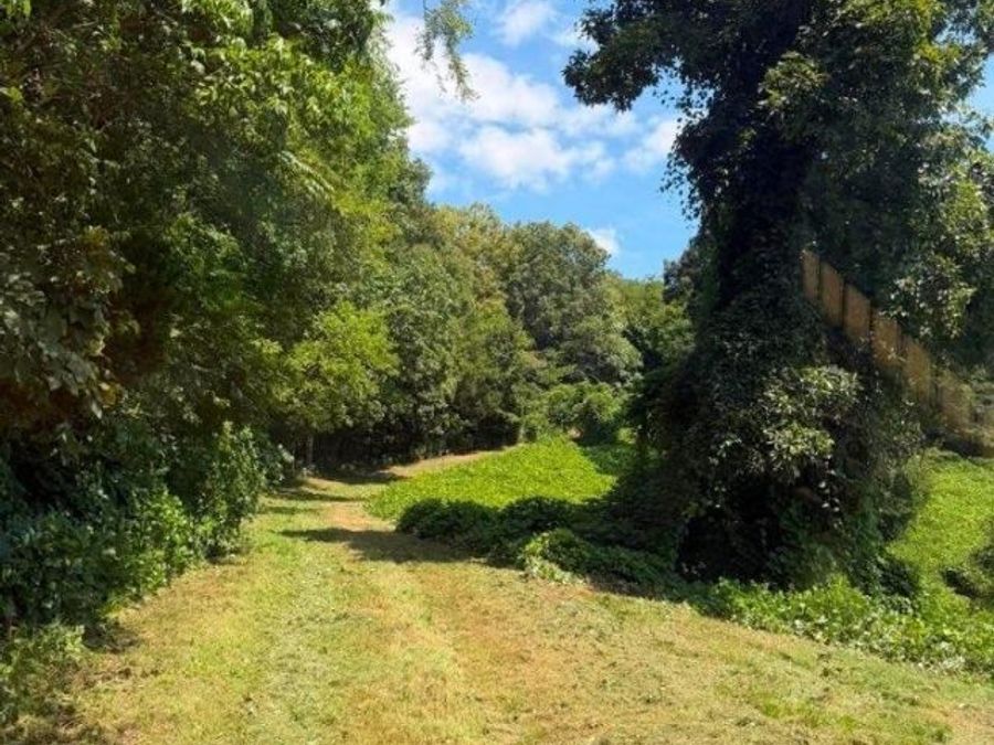 Property Image 34
