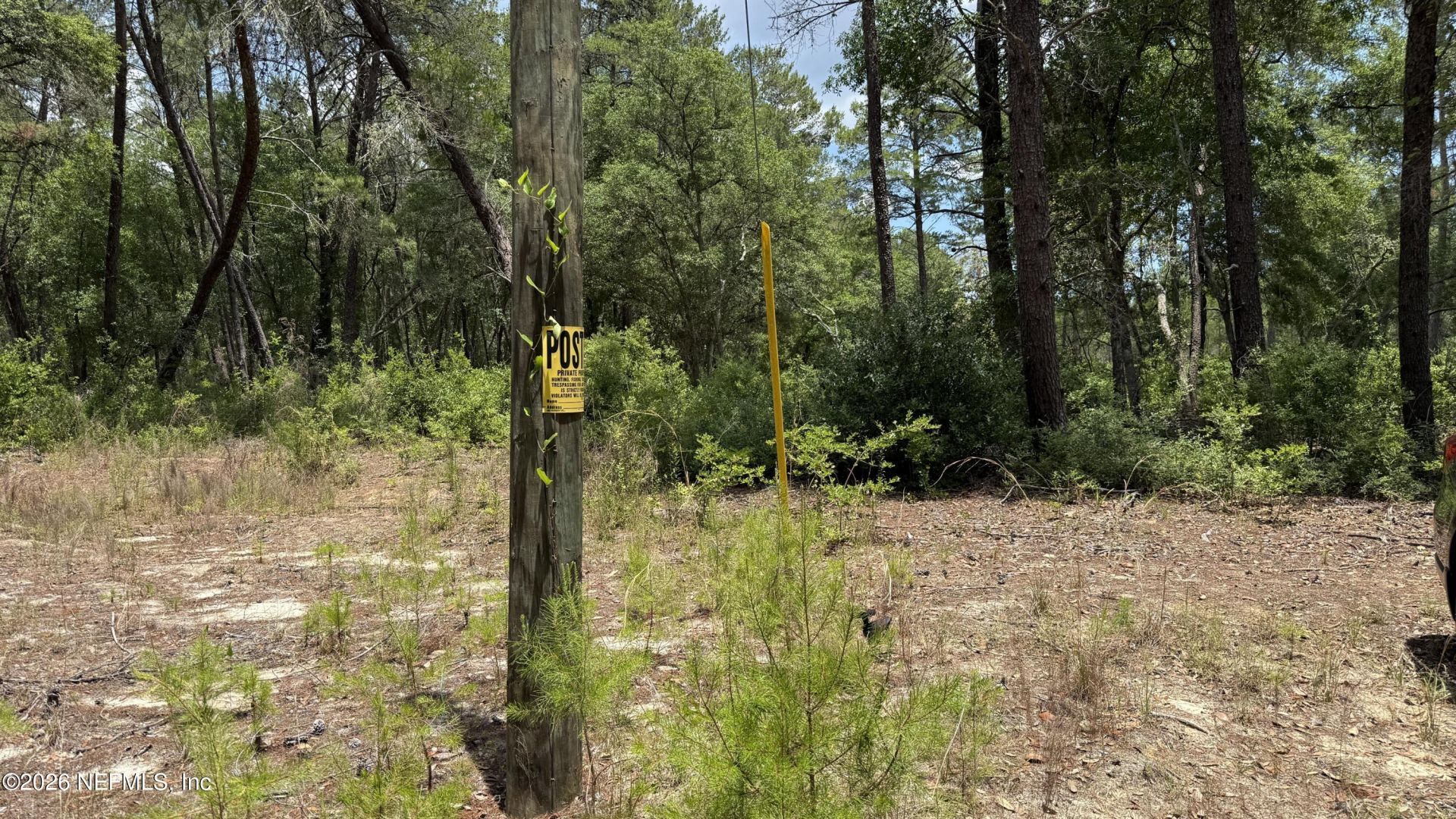 960 State Road 100, Florahome, FL 32140 Photo