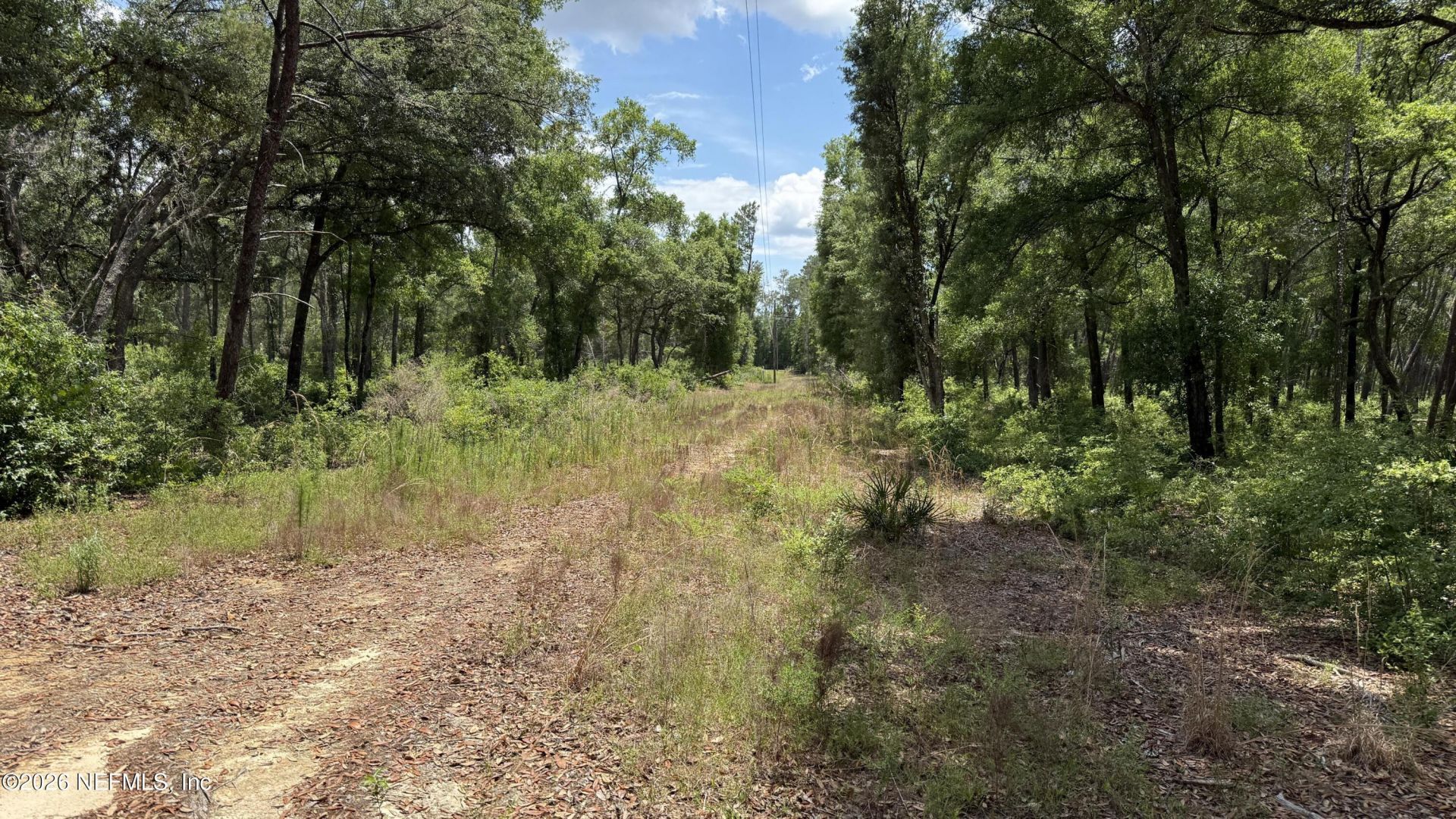 960 State Road 100, Florahome, FL 32140 Photo