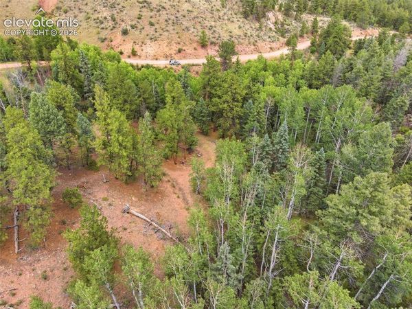 1310 Park Ridge Drive, Guffey, CO 80820